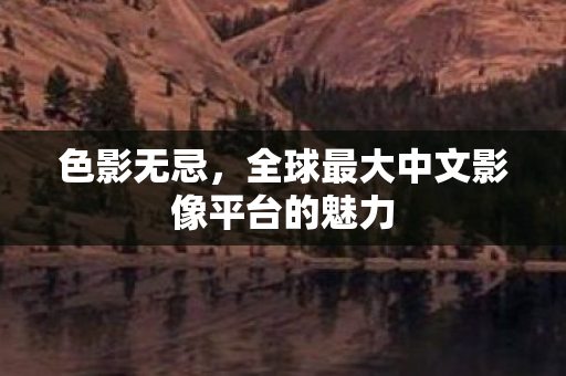 全球最大中文影像平台的魅力图片