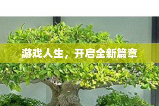 开启全新篇章图片