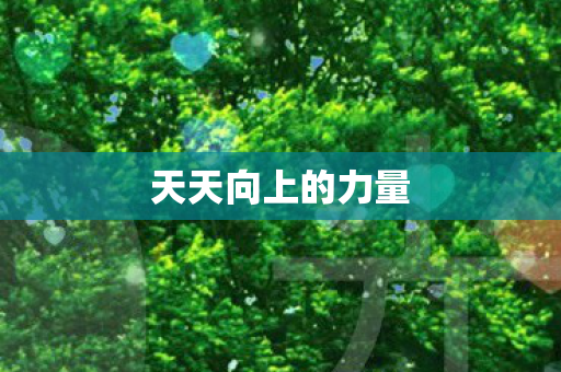 天天向上的力量图片