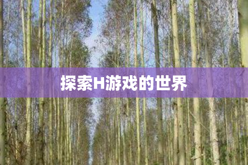 探索H游戏的世界图片