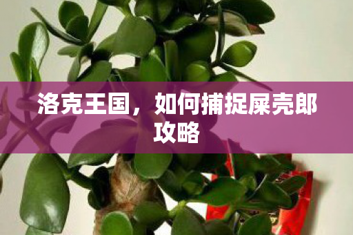 如何捕捉屎壳郎攻略图片
