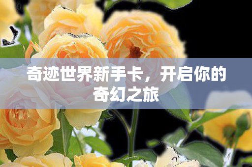开启你的奇幻之旅图片