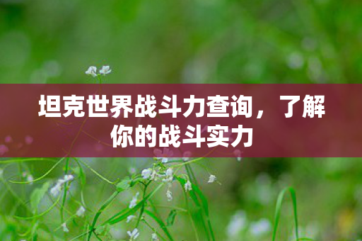 坦克世界战斗力查询图片