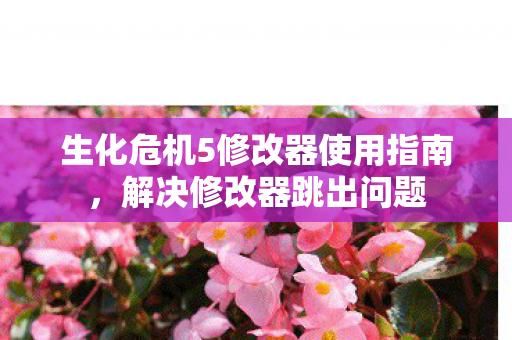 生化危机5修改器使用指南图片