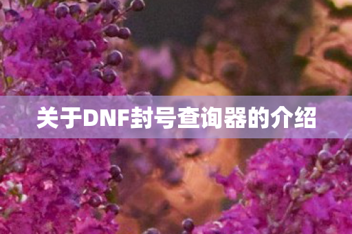 关于DNF封号查询器的介绍图片