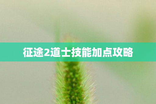 征途2道士技能加点攻略图片