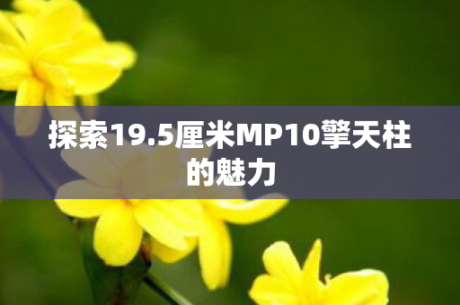 5厘米MP10擎天柱的魅力图片