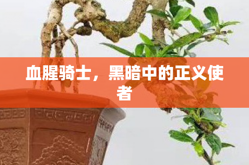 黑暗中的正义使者图片