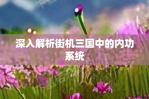 深入解析街机三国中的内功系统图片