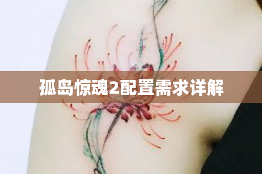 孤岛惊魂2配置需求详解图片