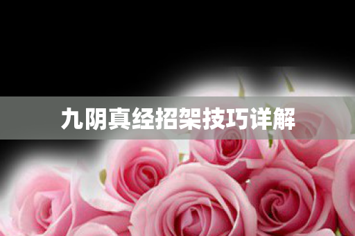 九阴真经招架技巧详解图片