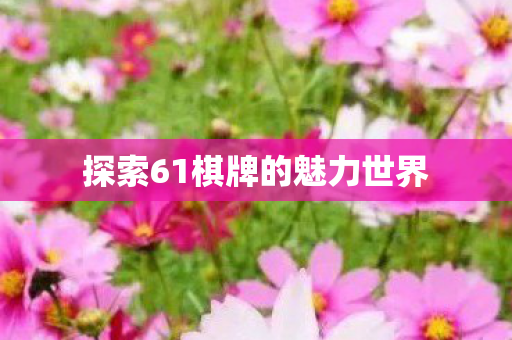 探索61棋牌的魅力世界图片