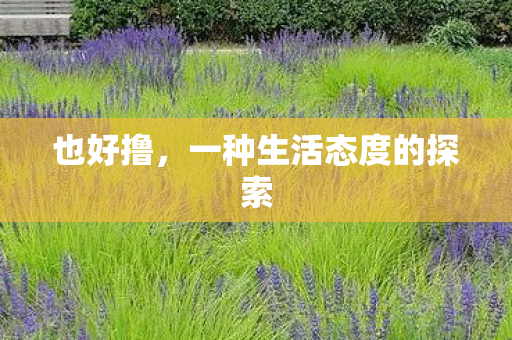 一种生活态度的探索图片