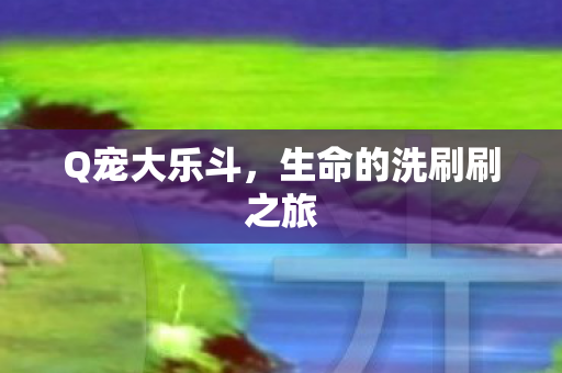 生命的洗刷刷之旅图片
