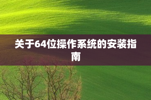 关于64位操作系统的安装指南图片