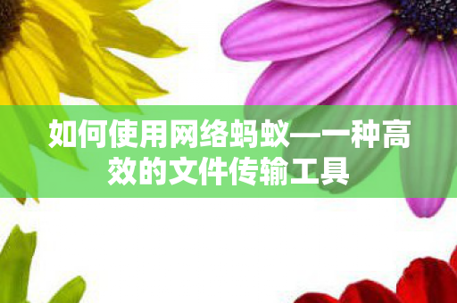 一种高效的文件传输工具图片