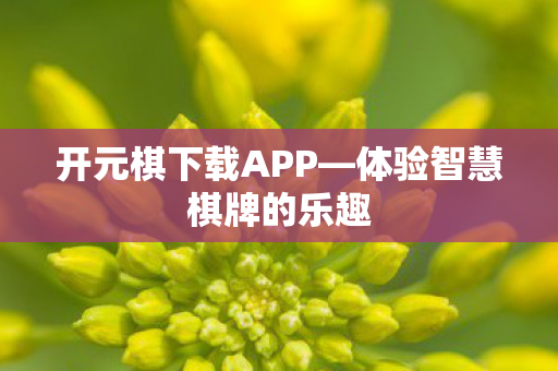 体验智慧棋牌的乐趣图片