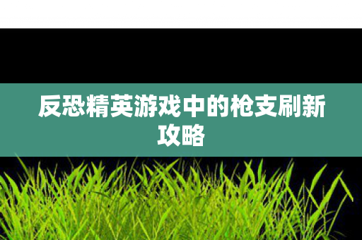 反恐精英游戏中的枪支刷新攻略图片