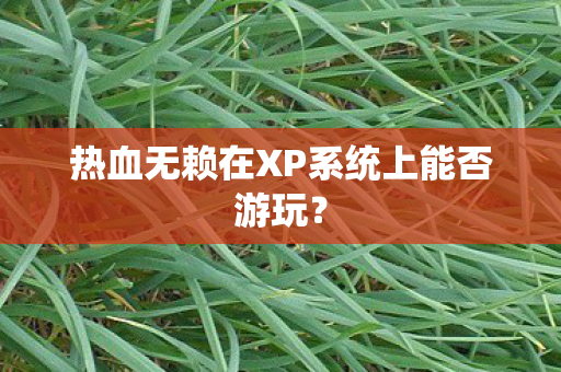 热血无赖在XP系统上能否游玩图片