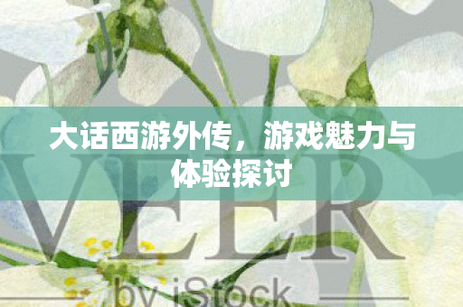 游戏魅力与体验探讨图片