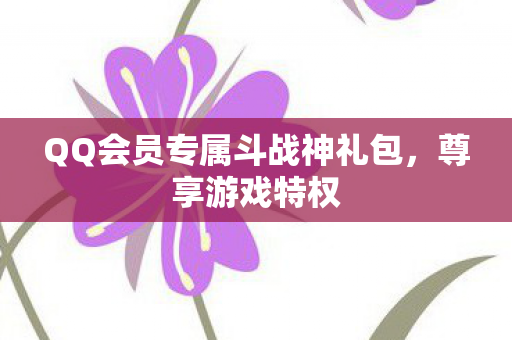 QQ会员专属斗战神礼包图片