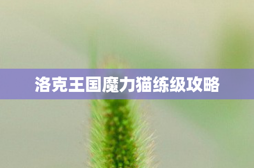 洛克王国魔力猫练级攻略图片