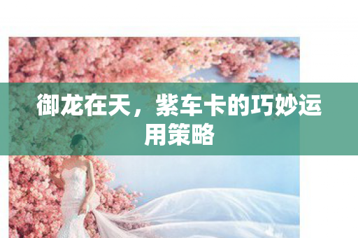 紫车卡的巧妙运用策略图片
