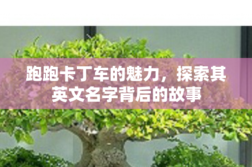 探索其英文名字背后的故事图片