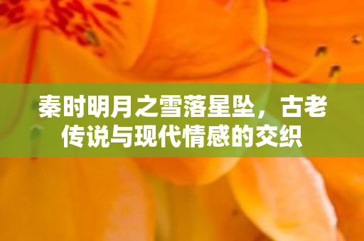 古老传说与现代情感的交织图片