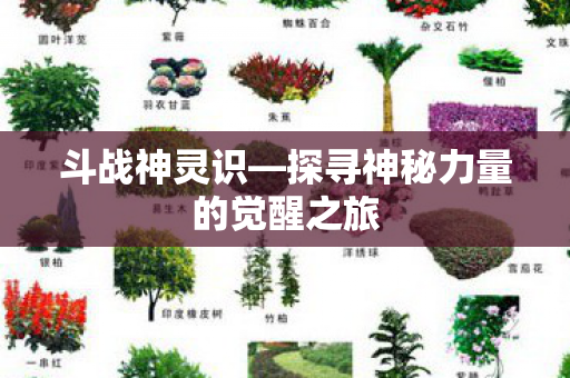 探寻神秘力量的觉醒之旅图片