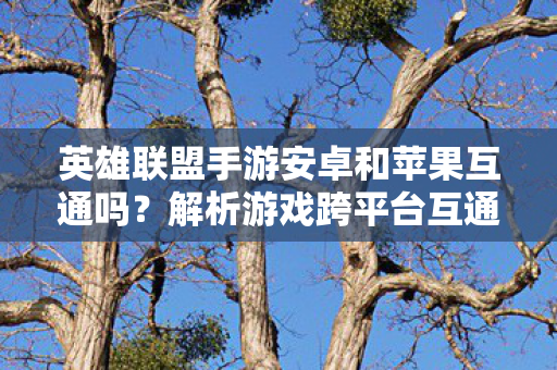 英雄联盟手游安卓和苹果互通吗图片