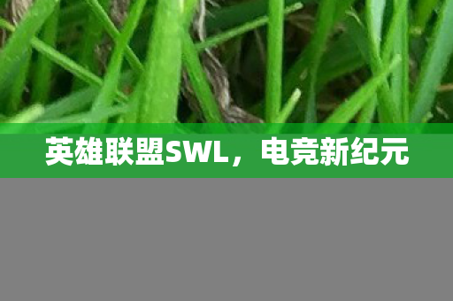 英雄联盟SWL图片