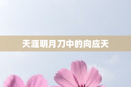 天涯明月刀中的向应天图片