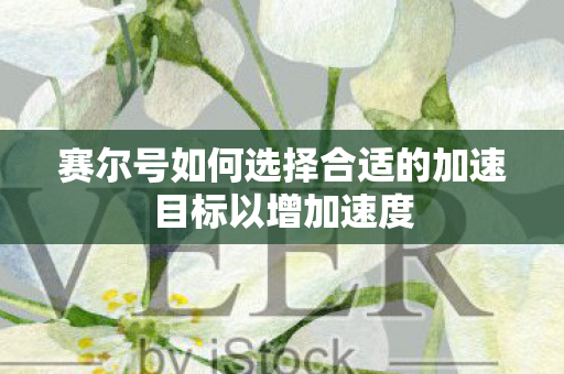 赛尔号如何选择合适的加速目标以增加速度图片