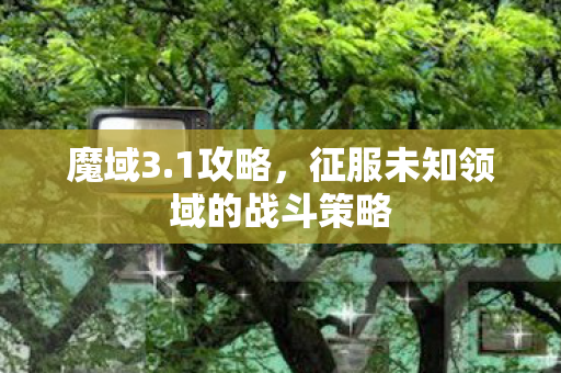 征服未知领域的战斗策略图片