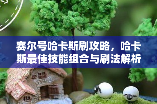 哈卡斯最佳技能组合与刷法解析图片
