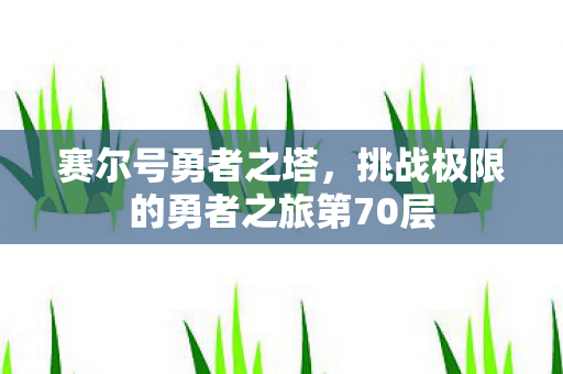 挑战极限的勇者之旅第70层图片