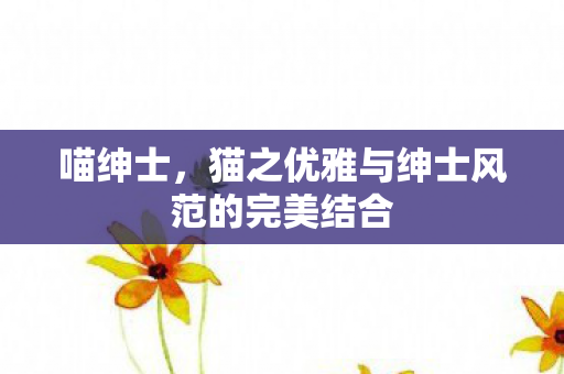 猫之优雅与绅士风范的完美结合图片