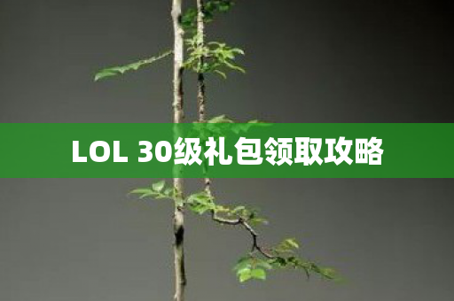 LOL 30级礼包领取攻略图片