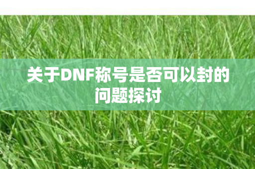 关于DNF称号是否可以封的问题探讨图片
