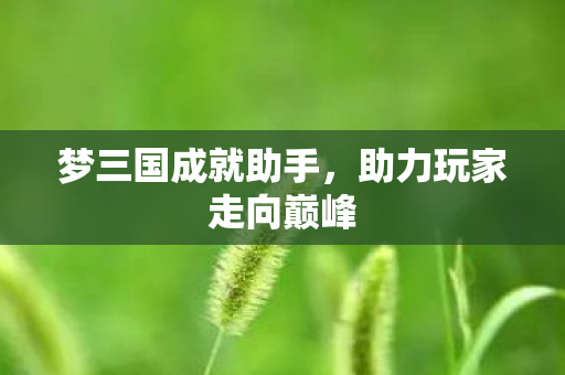 助力玩家走向巅峰图片