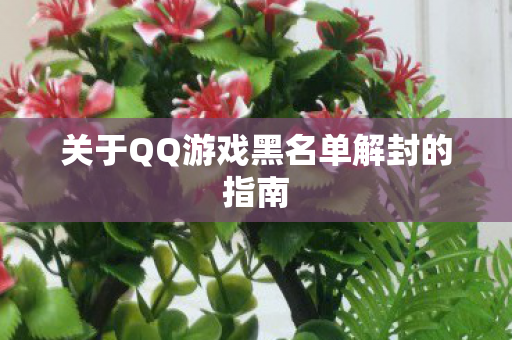 关于QQ游戏黑名单解封的指南图片
