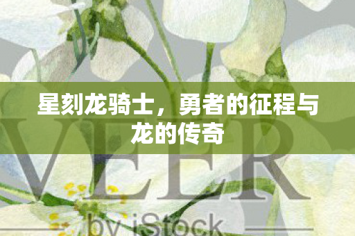 勇者的征程与龙的传奇图片