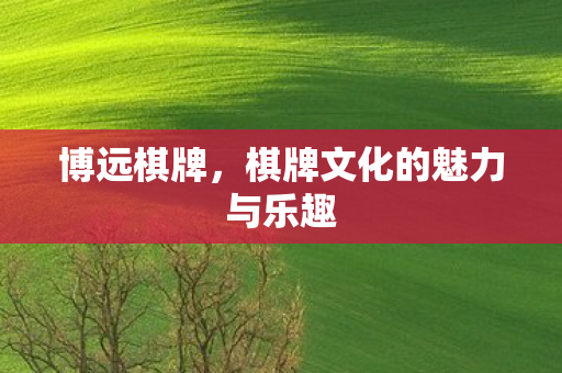 棋牌文化的魅力与乐趣图片
