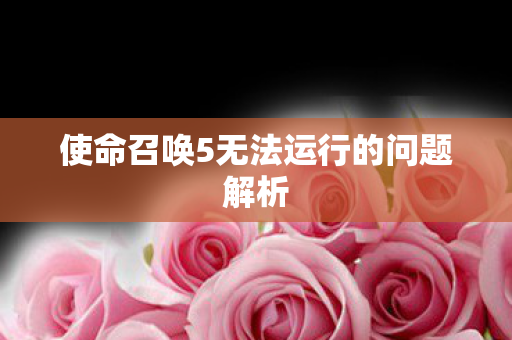 使命召唤5无法运行的问题解析图片