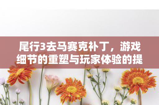 游戏细节的重塑与玩家体验的提升图片
