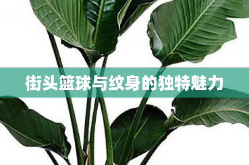街头篮球与纹身的独特魅力图片