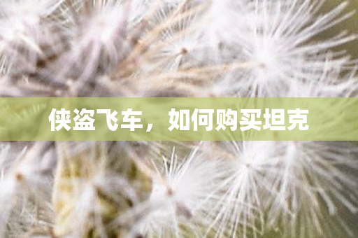 如何购买坦克图片