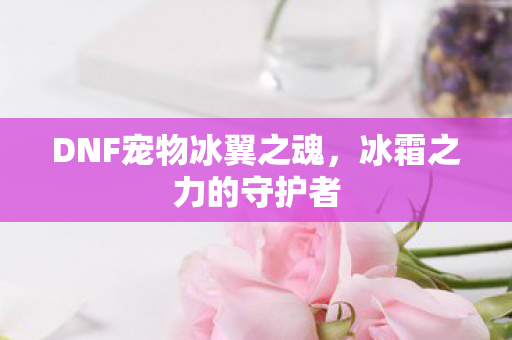 DNF宠物冰翼之魂图片