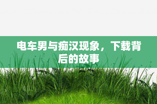 电车男与痴汉现象图片